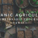 Video About Our Organic Agriculture Internship
