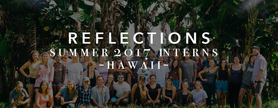Reflections: Thoughts From Our Summer ‘17 4-Week Interns