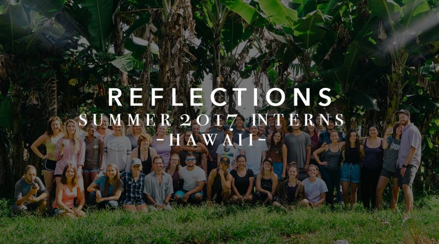 Reflections: Thoughts From Our Summer ‘17 4-Week Interns