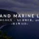 Marine Life on the Islands!