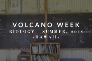 Biology: Volcano Week