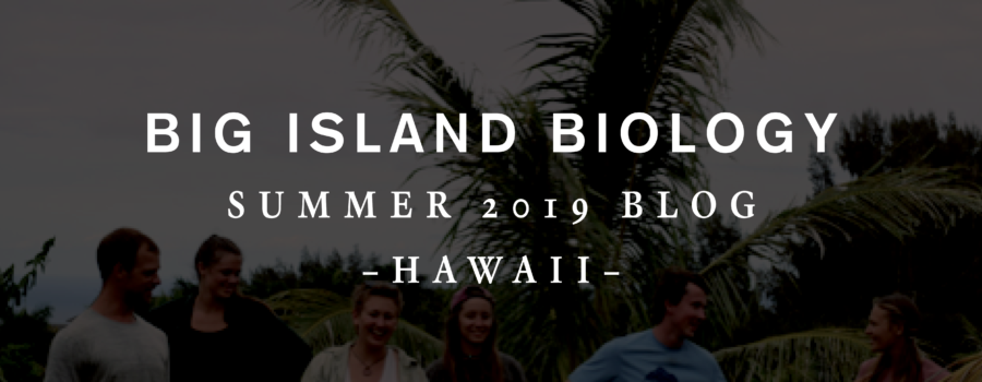 Big Island Biology Blog 2019
