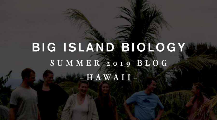 Big Island Biology Blog 2019